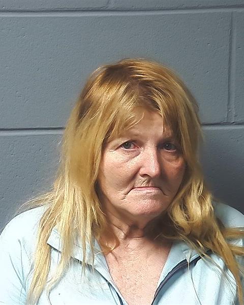 Mugshot of SHEILA L LABO