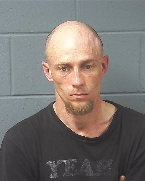 Mugshot of RONALD L RITCHEY