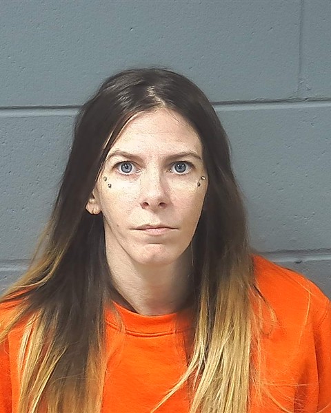 Mugshot of BRIANNA M HOLTEN
