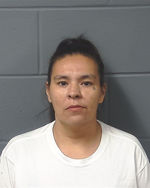 Mugshot of BRIANNA BEARHEART