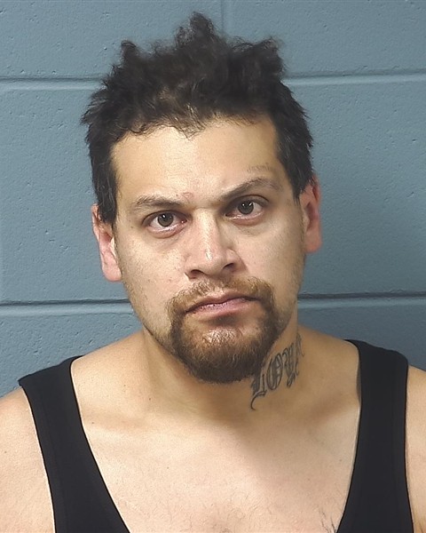 Mugshot of THOMAS W SNYDER