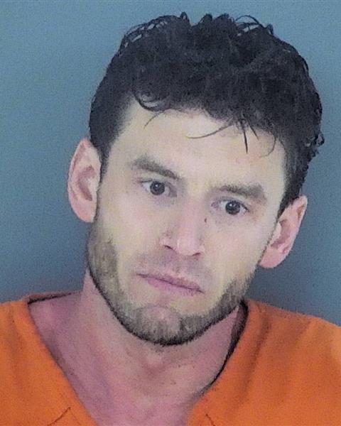 Mugshot of GREGORY JORDAN JUNG