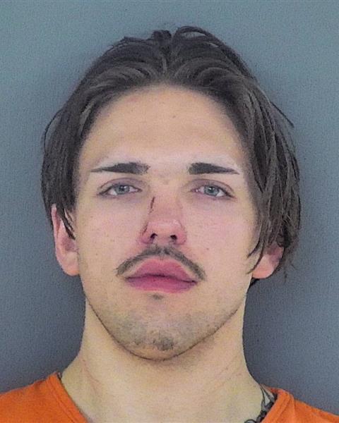 Mugshot of JACOB ODIN EDVALSON