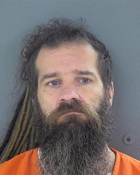 Mugshot of MATTHEW R LINK