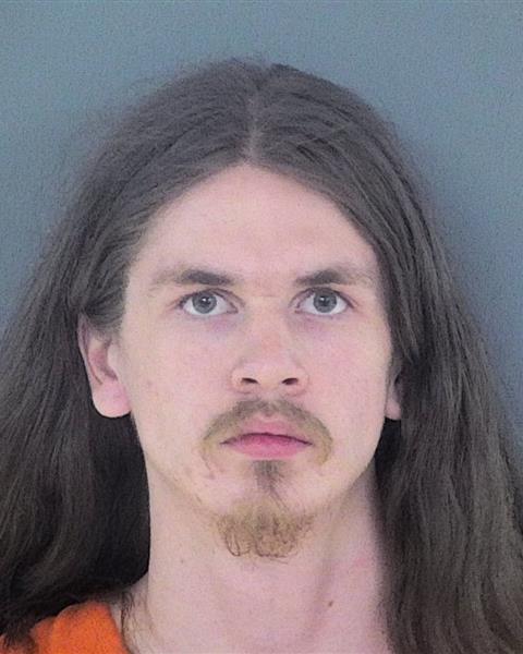 Mugshot of DAYNE ANDREW PAULSON
