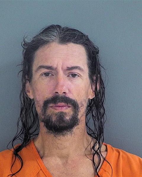 Mugshot of JAMIE LEE MEYER