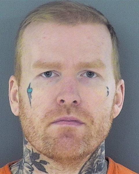 Mugshot of LOGAN PAUL FRYE