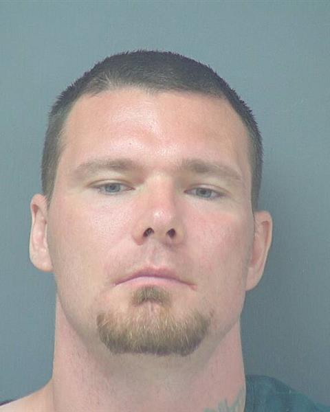 Mugshot of ANGELO ANTHONY LEHN