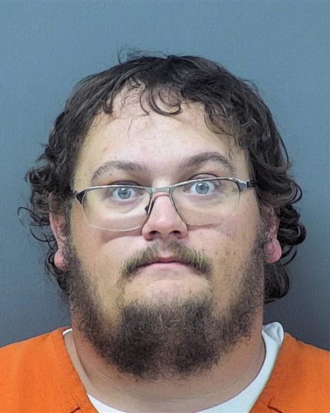 Mugshot of ANTHONY MICHAEL SCHEMENAUER