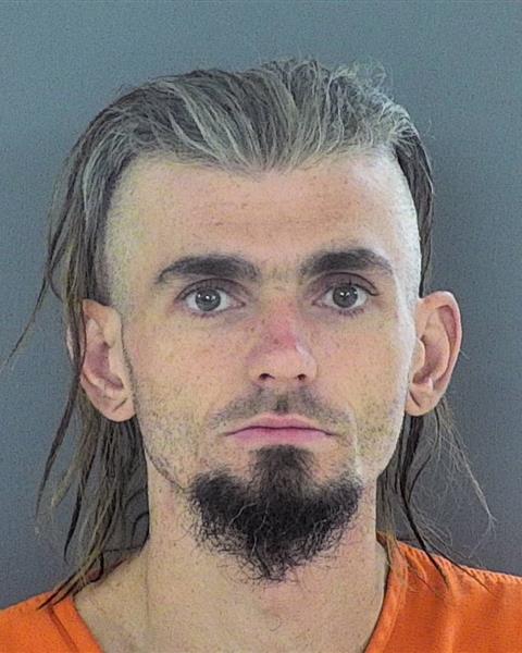 Mugshot of NICHOLAS ANTON THORSON