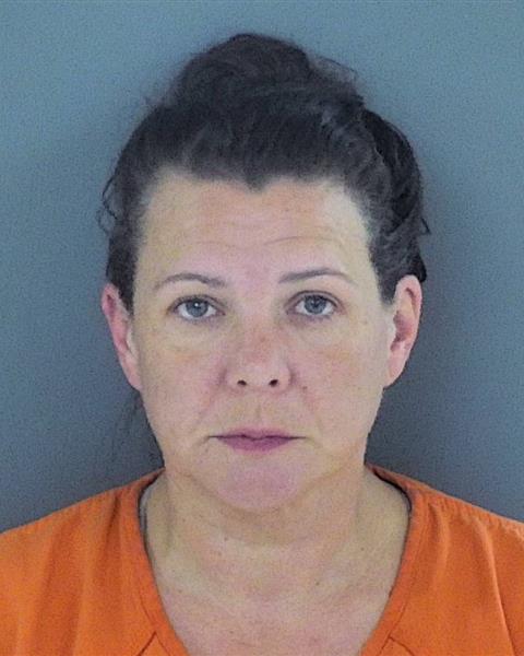 Mugshot of JESSICA KATHRYN RYAN