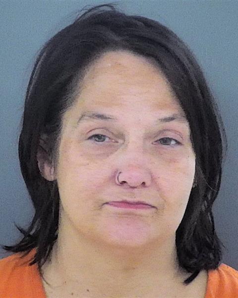 Mugshot of LISA RAE ZETTELMEIER