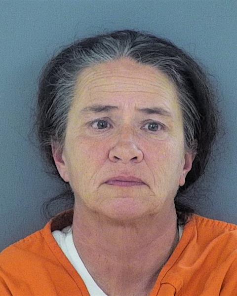 Mugshot of DEANNA JEAN MOYLE