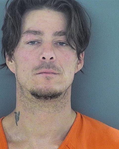 Mugshot of DAVID JAMES SCOTT