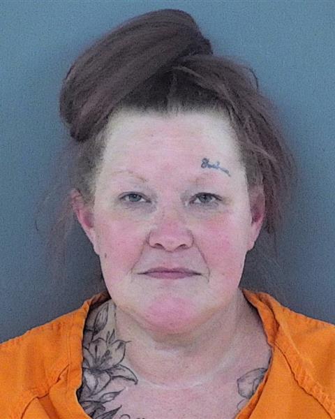 Mugshot of SYLVIA MARIE ERICKSON