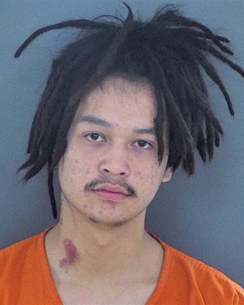 Mugshot of NIKO NOUJAI CHA