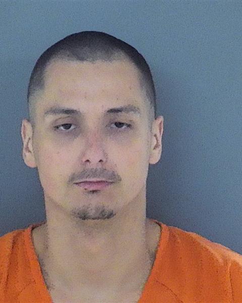 Mugshot of STEVEN WAYNE MARTINSON