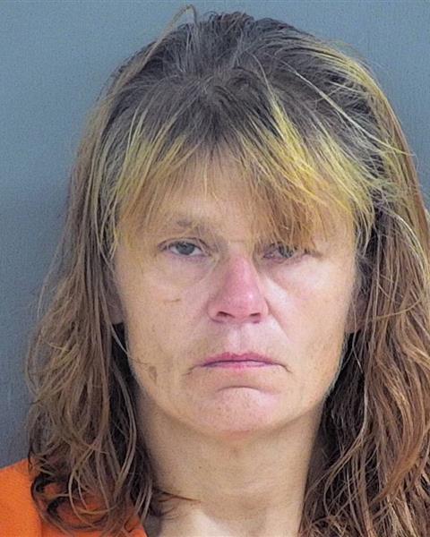 Mugshot of JESSICA KASSANDRA DREKE