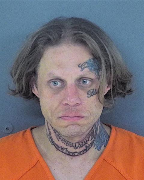 Mugshot of MICHAEL ROBERT JR EDINGTON