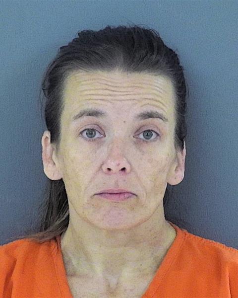 Mugshot of SARAH JEAN JOHNSON