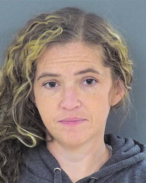 Mugshot of ASHLEY ANN KVAPIL