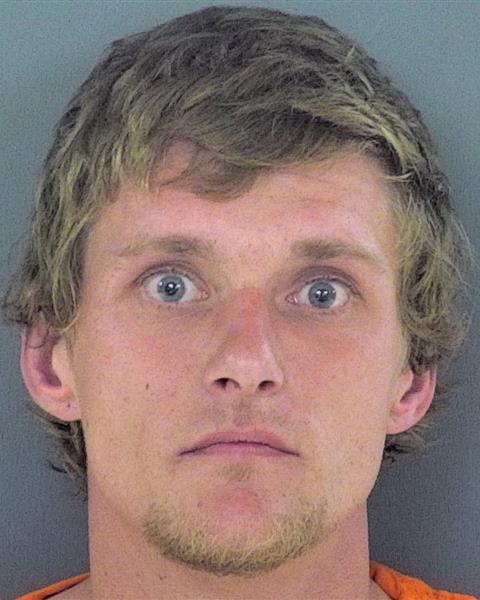 Mugshot of LAYNE MICHAEL JOHNSON