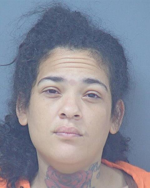 Mugshot of KELCY KATHLYEEN JOHNSON