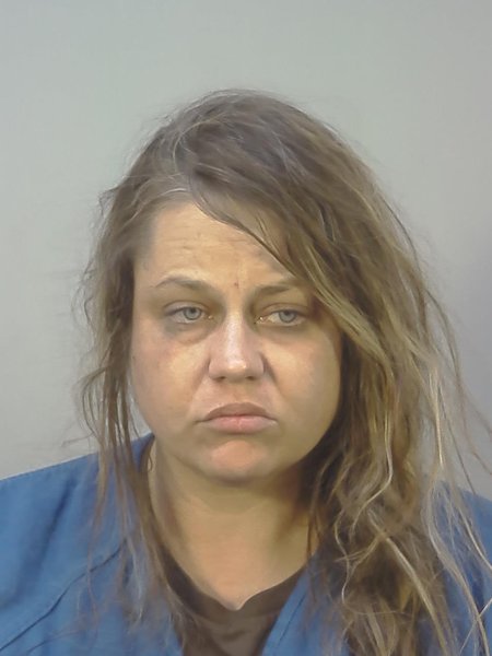 Mugshot of ALLISON LEA WOLLACK