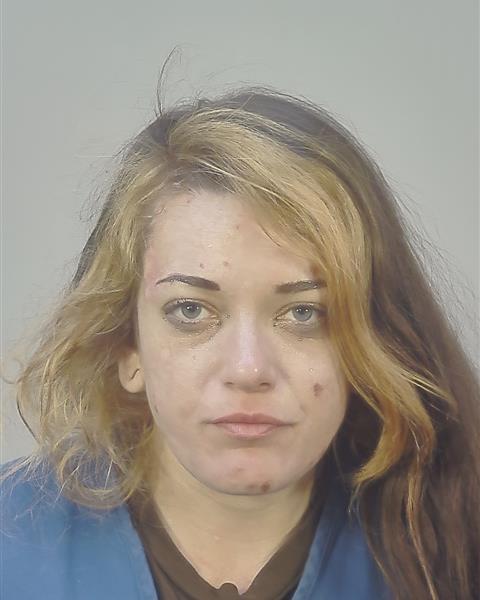 Mugshot of HAYLE JO VAGEDES
