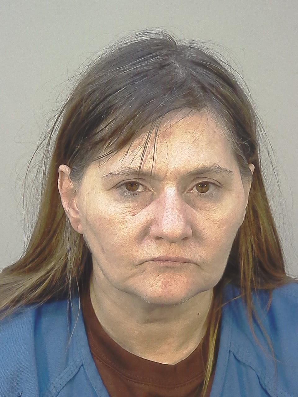 Mugshot of DENISE FRANCES WASHBURN