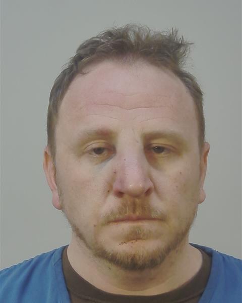 Mugshot of ROSS MARTIN WYDEVEN