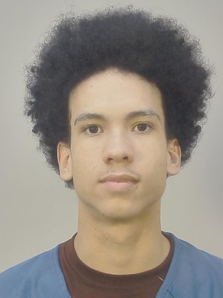 Mugshot of ANTHONY I BOSWELL