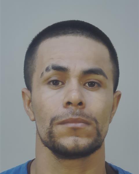 Mugshot of BRAYAN JOSE AMAYA PASTRANA