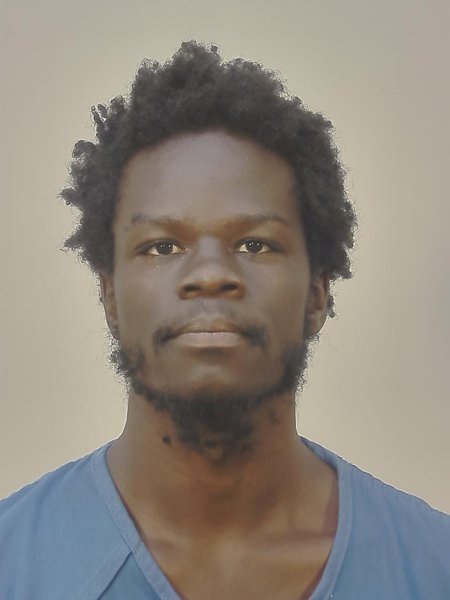 Mugshot of CARL MARTESE NORTON