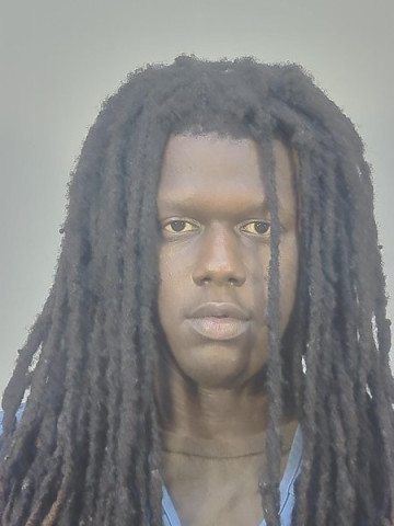 Mugshot of DANDRE EUGENE JORDAN