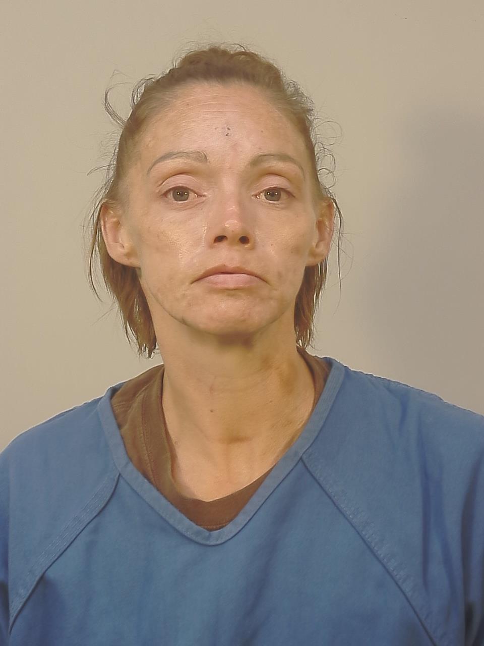 Mugshot of CHRISTY LOUISE MALLORY