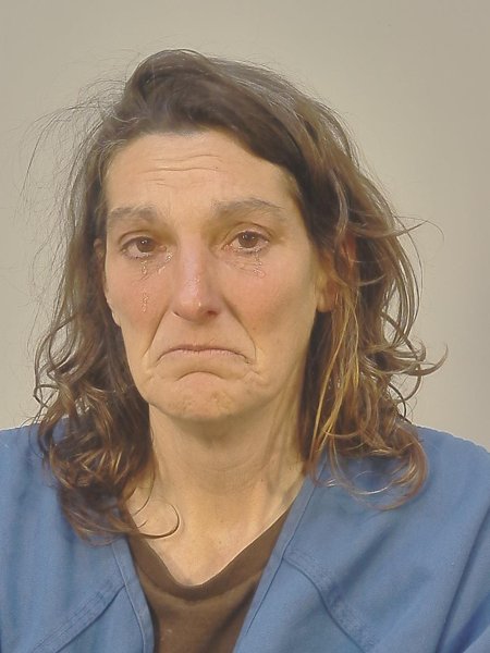 Mugshot of TRACY LYNN FERGUSON