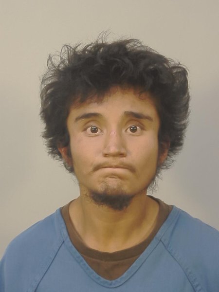 Mugshot of AME PINEDA