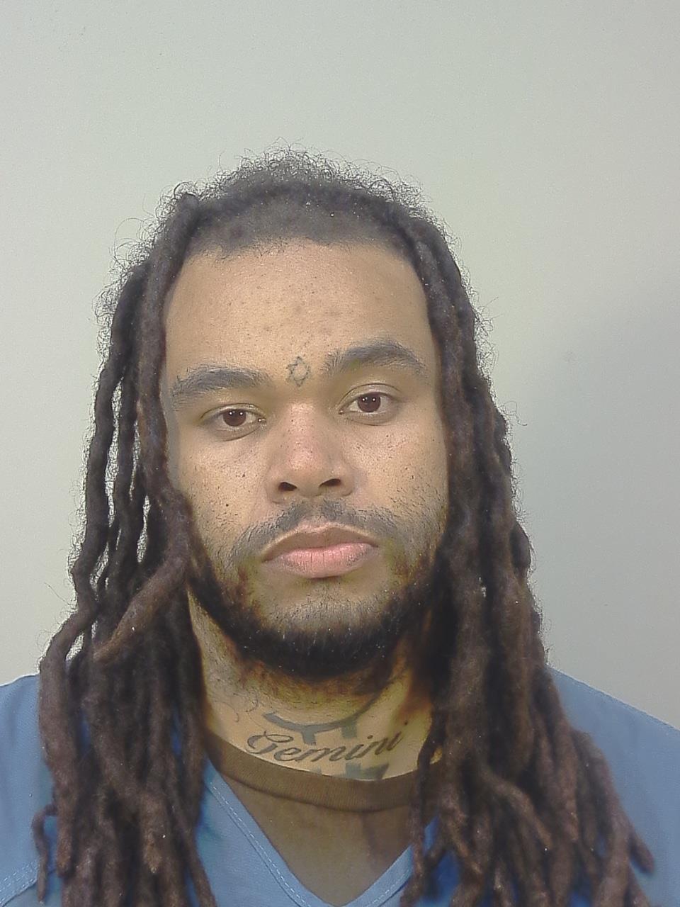 Mugshot of BEAU ERVIN NELSON