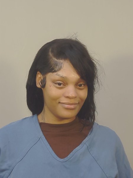Mugshot of BRANDIE RAY FLEURENT