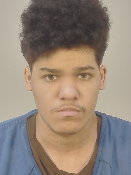 Mugshot of JOSARIEO J NIEDERHAUSER