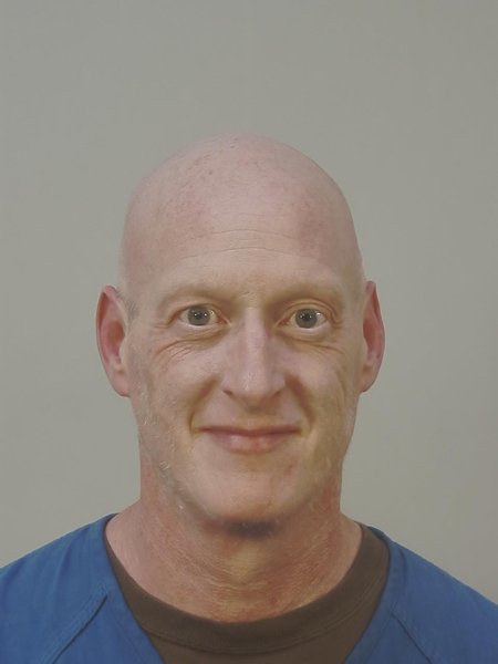Mugshot of DAVID MICHAEL LOWES