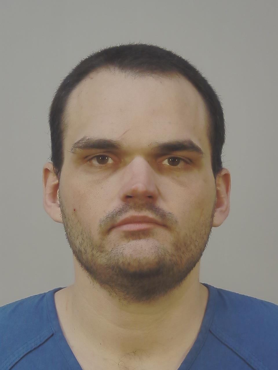 Mugshot of ANDREW MITCHELL WILDEMAN