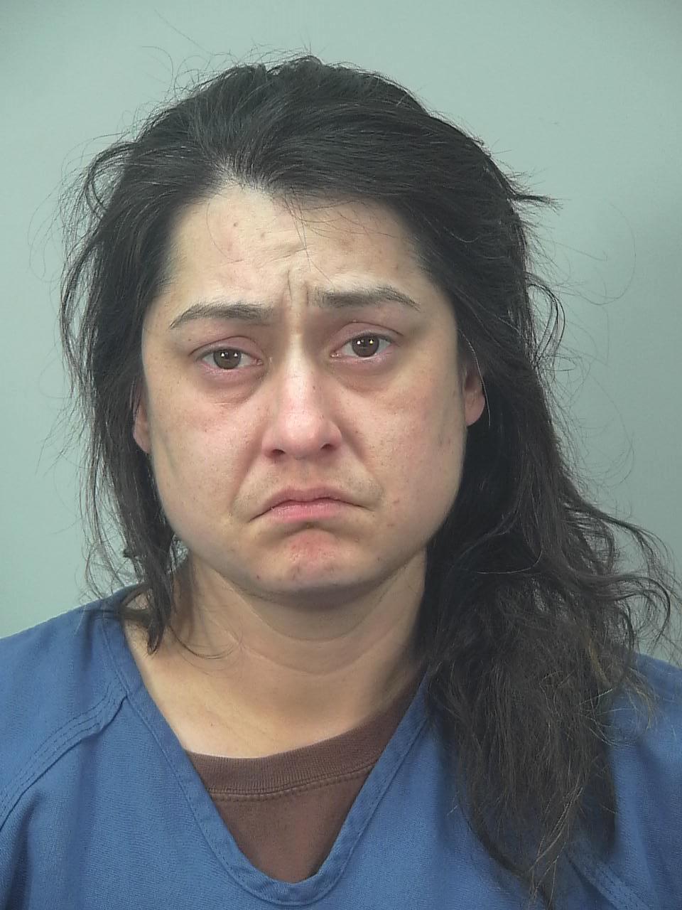 Mugshot of LESLIE JEAN MEIER