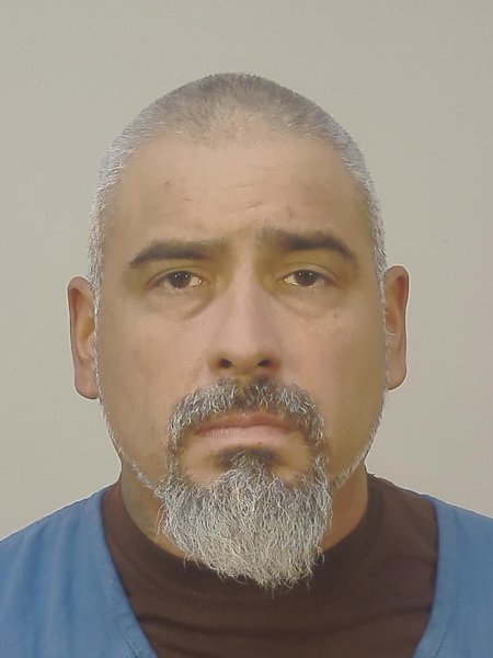 Mugshot of TORIBIO MEDINA
