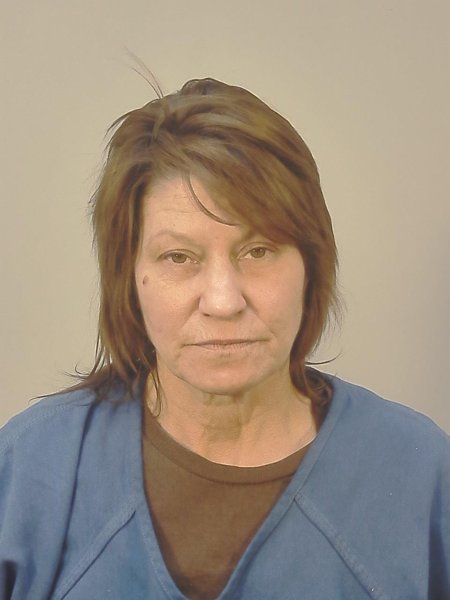Mugshot of TONI ELIZABETH HOHENSTEIN