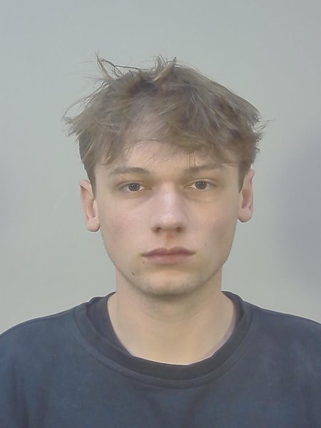 Mugshot of CASEY ROBERT JOSWIAK