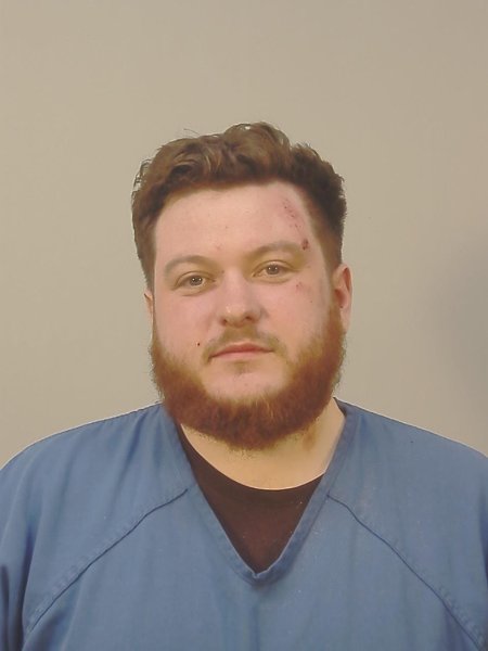 Mugshot of DEVON LAYNE WILSON