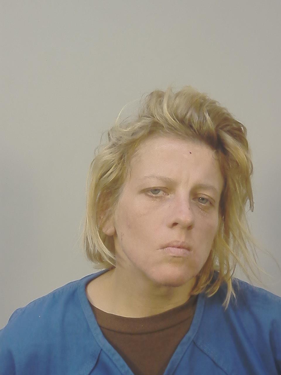 Mugshot of DIANE MARIE MARONEY