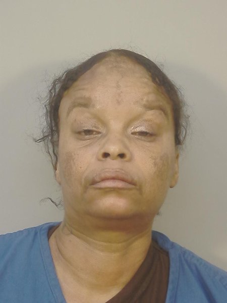 Mugshot of LEE ANN ANDERSON